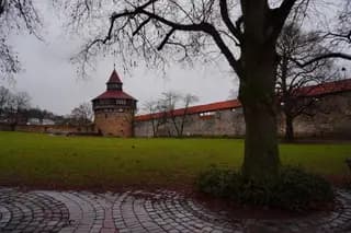 Photo 50