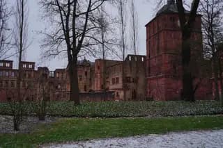 Photo 30