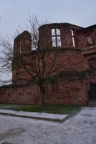 Photo 40