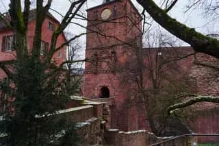 Photo 41