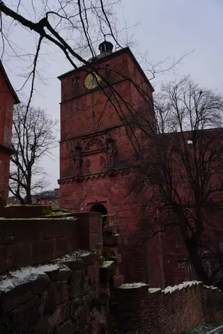 Photo 43