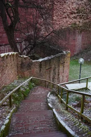 Photo 45
