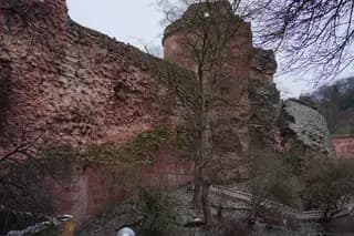 Photo 46