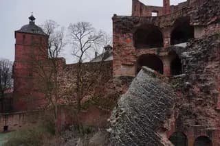 Photo 50