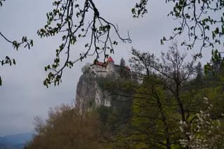 Photo 30