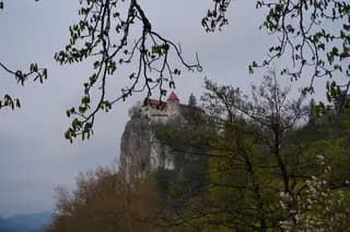 Photo 31