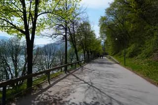 Photo 53