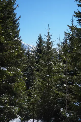 Photo 38