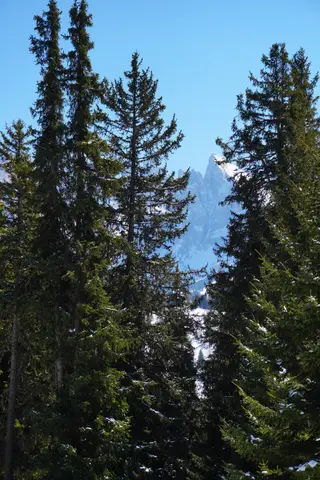 Photo 40