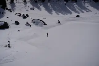 Photo 239