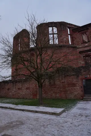Photo 40