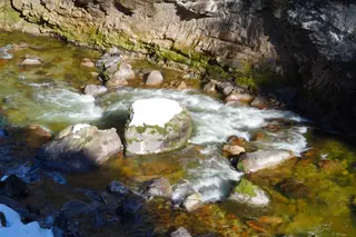Photo 29