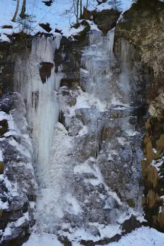 Photo 47