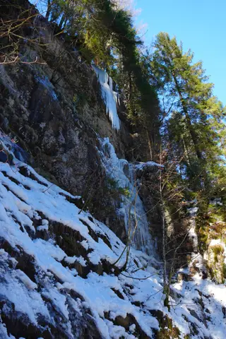 Photo 49