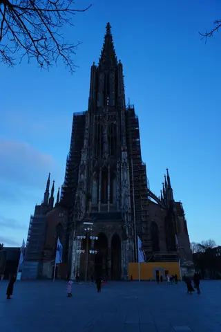 Photo 198