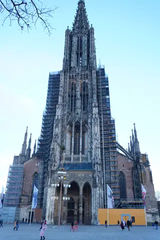 Photo 199