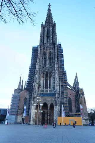 Photo 201